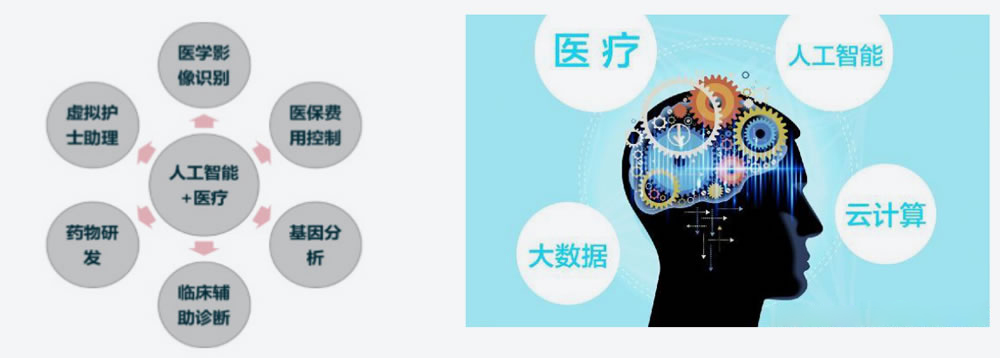 &#66;&#20307;&#32946;&#65288;&#66;&#83;&#112;&#111;&#114;&#116;&#115;&#65289;&#23448;&#26041;&#32593;&#31449;